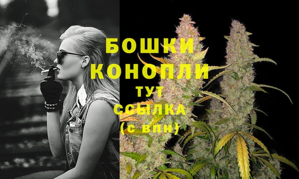 прущий лед Богородицк