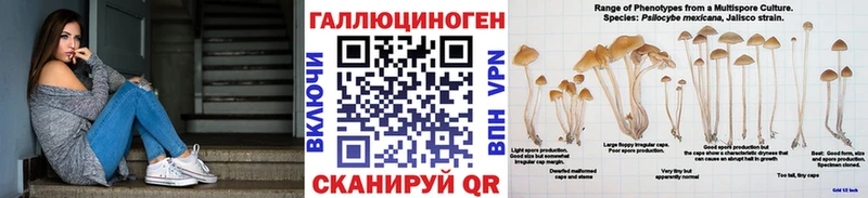 Галлюциногенные грибы мухоморы  кракен зеркало  Александровское  сколько стоит 